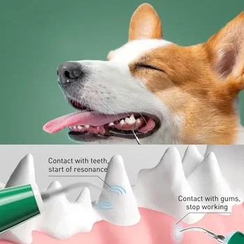 Instrumente Dispozitiv Electric Oral cu Ultrasunete Portabil Alege Câini de Moda de Curățare Pisici Curat Și Apă Dinți High-end, Culoare de Companie